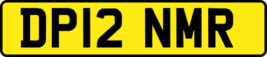 DP12NMR