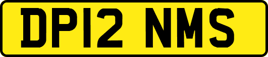 DP12NMS