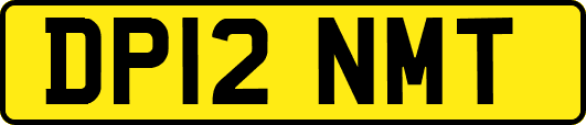 DP12NMT