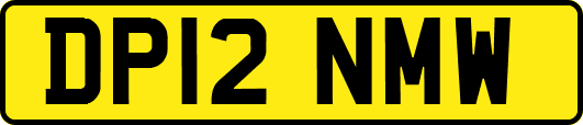 DP12NMW