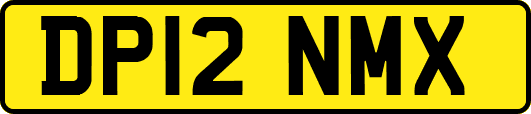 DP12NMX