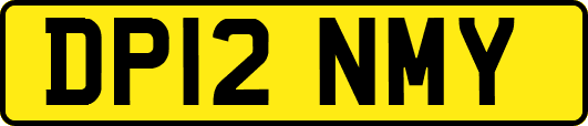 DP12NMY