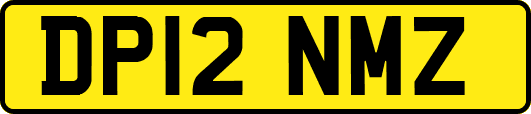 DP12NMZ