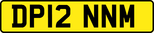 DP12NNM