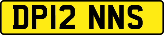 DP12NNS