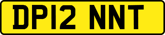 DP12NNT