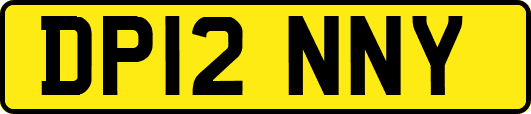 DP12NNY