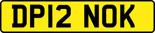 DP12NOK