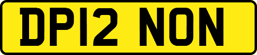 DP12NON
