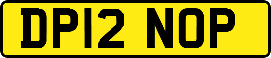DP12NOP