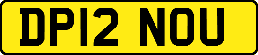 DP12NOU