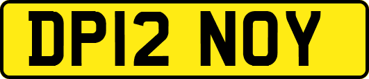DP12NOY