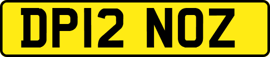 DP12NOZ
