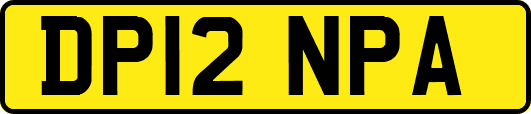 DP12NPA