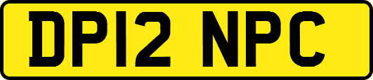 DP12NPC