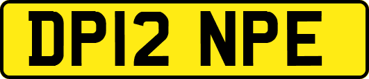 DP12NPE