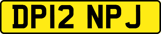 DP12NPJ