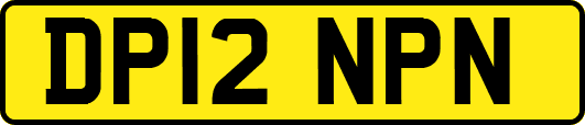 DP12NPN