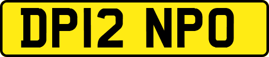 DP12NPO