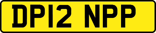 DP12NPP