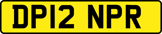 DP12NPR