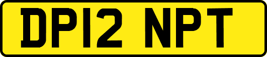 DP12NPT