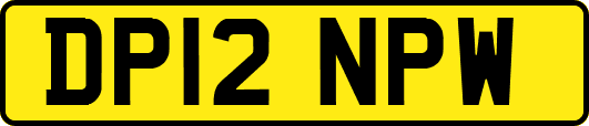 DP12NPW