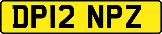 DP12NPZ