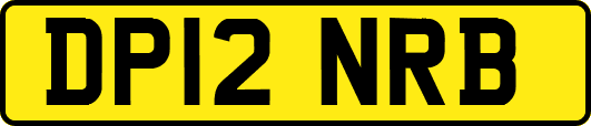 DP12NRB