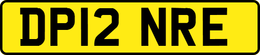 DP12NRE