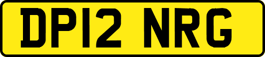 DP12NRG