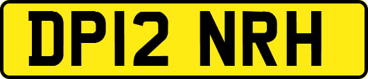 DP12NRH