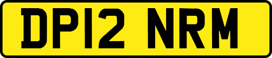 DP12NRM