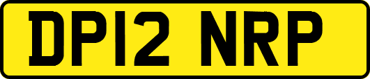 DP12NRP