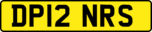 DP12NRS