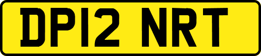 DP12NRT