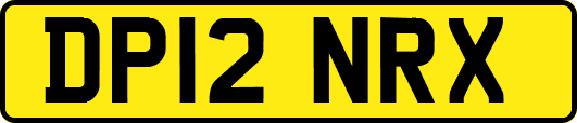 DP12NRX