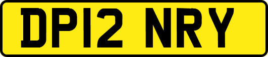 DP12NRY