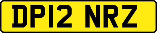 DP12NRZ