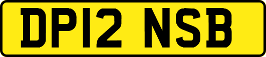 DP12NSB