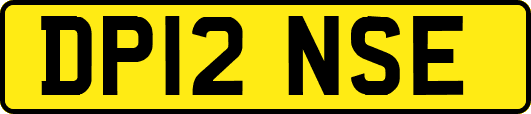 DP12NSE