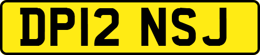 DP12NSJ