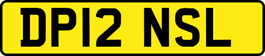 DP12NSL