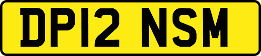 DP12NSM