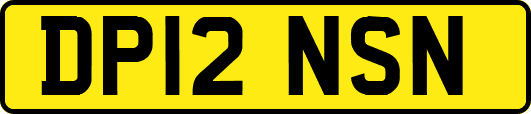 DP12NSN