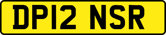 DP12NSR