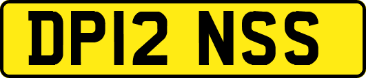 DP12NSS