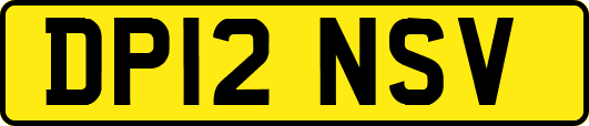 DP12NSV