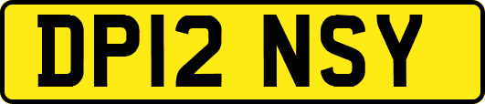 DP12NSY