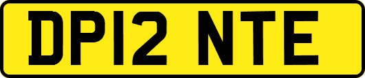 DP12NTE